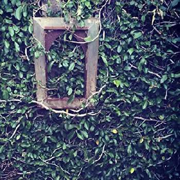 Jason Kothmann - Age, Bio, Birthdate, Family, Networth & More