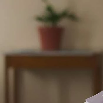 Javiera Contador - Income, Birthday, Family, Bio, Networth & More