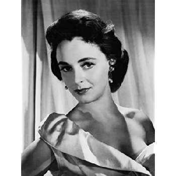 Jeanette Sterke - Bio, Networth, Family, Age, Birthdate & More