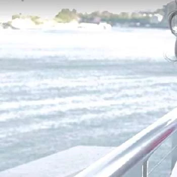 Jeannette Shafik - Age, Bio, Birthdate, Family, Networth & More