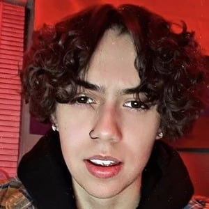 Alexis Jenkins - Birthplace, Bio, Wiki, Birthday, Family, Networth & More