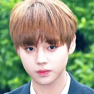 Park Ji-hoon - Height, Bio, Wiki, Family, Birthplace, Networth & More