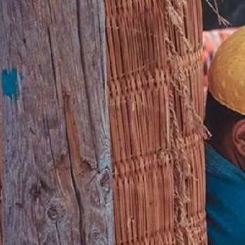 Jihed Cherni - Age, Bio, Birthdate, Family, Networth & More