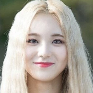 Jung Jin-sol - Date Of Birth, Bio, Birthdate, Parents, Networth & More