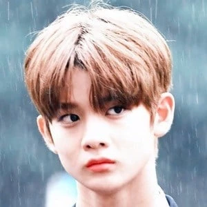 Bae Jinyoung Biography