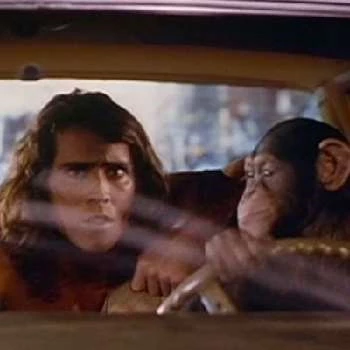 Joe Lara - Birthdate, Age, Family, Bio, Networth & More