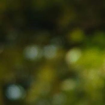 John Worthy - Age, Bio, Birthdate, Family, Networth & More