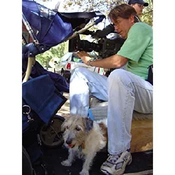 Josh Morton - Age, Bio, Birthdate, Family, Networth & More