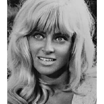 Joy Harmon - Family, Bio, Wiki, Dat of Birth, Networth & More