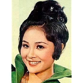 Joyce H. Cheng - Biography, Birthday, Family, Wki, Networth & More