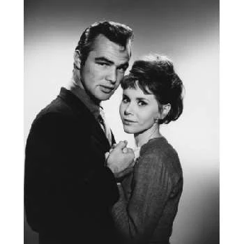 Judy Carne - Networth, Bio, Wiki, Family, Birthday, Networth & More