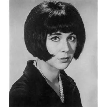 Judy Henske - Networth, Bio, Birthdate, Age, Family & More