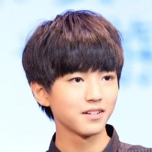 Wang Junkai Biography