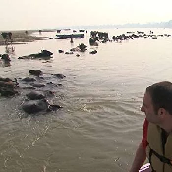 Justin Kanew - Age, Bio, Birthdate, Family, Networth & More