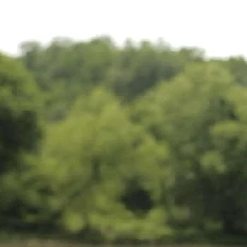 Justin Tully - Age, Height, Birthdate, Family, Wiki & More