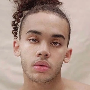 Kaner Flex - Networth, Bio,Birthdate, Family, Wiki & More