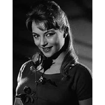 Karin Baal - Biography, Birthday, Family, Wki, Networth & More