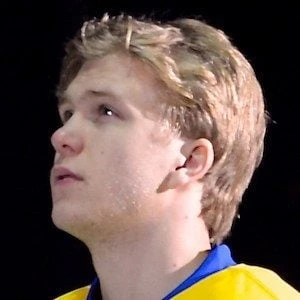 William Karlsson Biography