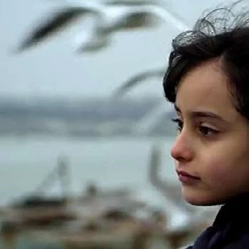 Katayoun Saberfakhr - Age, Bio, Birthdate, Family, Networth & More