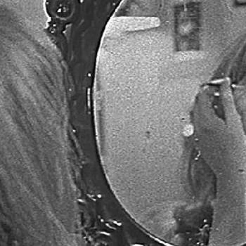 Kathleen Hohalek - Age, Bio, Birthdate, Family, Networth & More