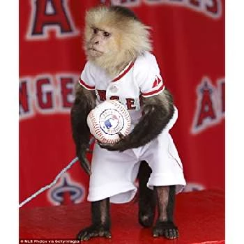 Katie - Age, Bio, Birthdate, Family, Networth & More