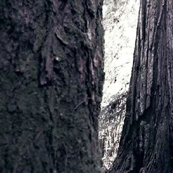 Kaylann Badgley - Age, Bio, Birthdate, Family, Networth & More