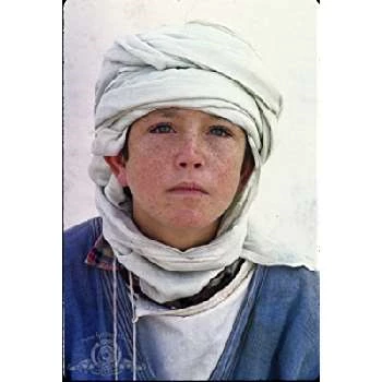 Kelly Reno - Biography, Birthday, Family, Wki, Networth & More