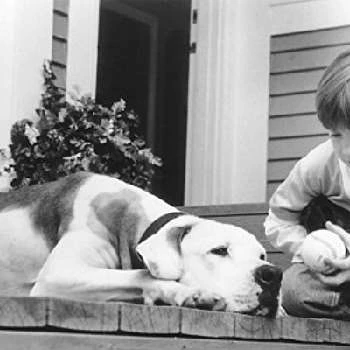 Kevin Chevalia - Age, WIki, Birthday, Family, Networth & More