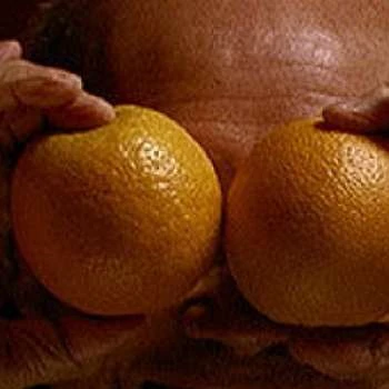 Kim Chan - Biography, Birthday, Wiki, Family, Networth & More