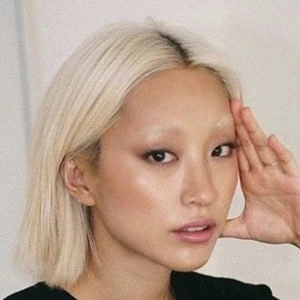 Dasha Kim - Profession, Biography, Birthdate, Family, Wiki & More