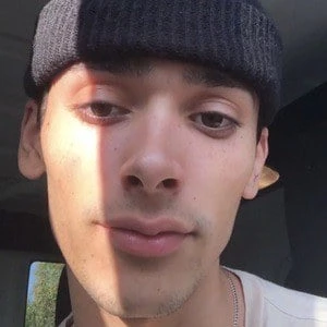 Payton King - Age, Bio, Birthdate, Family, Networth & More