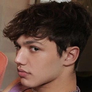 Voja King - Age, Height, Birthdate, Family, Wiki & More