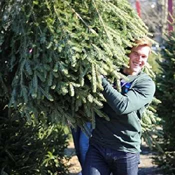 Kirk Curran - Age, Bio, Birthdate, Family, Networth & More