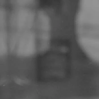 Kirstin Kluver - Age, Bio, Birthdate, Family, Networth & More