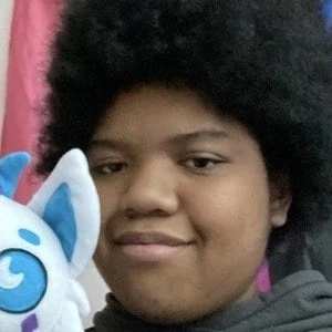 KittydogCrystal Biography