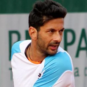 Julian Knowle - Height, Bio, Wiki, Family, Birthplace, Networth & More