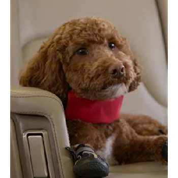 Koa - Age, Bio, Birthdate, Family, Networth & More