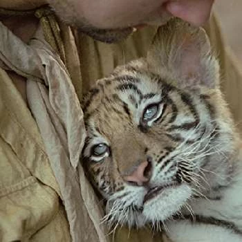 Kumal - Age, Bio, Birthdate, Family, Networth & More