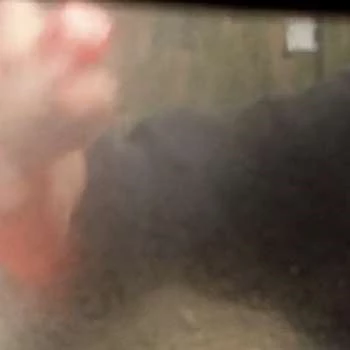 Kurtis Maguire - Age, Bio, Birthdate, Family, Networth & More