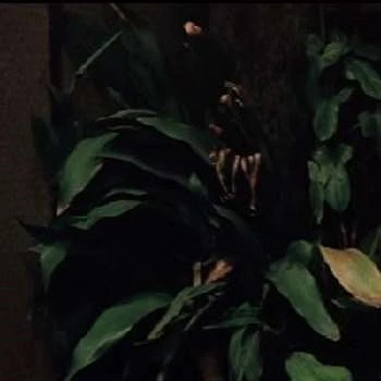 Kyôsuke Machida - Age, Bio, Birthdate, Family, Networth & More