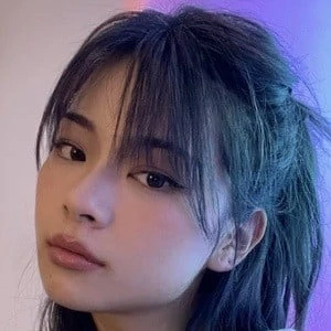 TingTing Lai Biography