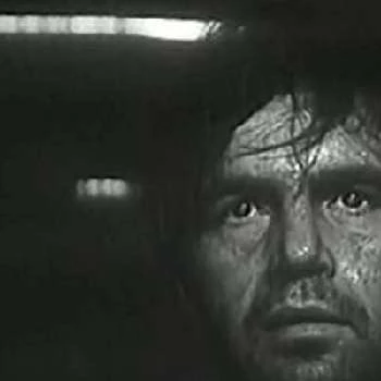 Laimonas Noreika - Networth, Bio, Wiki, Family, Birthday, Networth & More