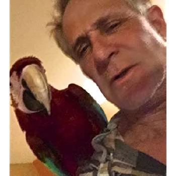 Lamar Card - Age, Bio, Career, Family, Wiki, Networth & More