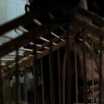 Lance Gordon - Biography, Birthdate, Family, Networth & More