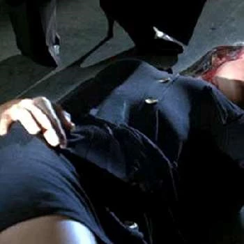 Lauren Noelle - Age, Bio, Birthdate, Family, Networth & More