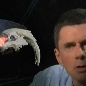 Lawrence Witmer - Age, Bio, Birthdate, Family, Networth & More