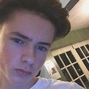 Josh Lawson Biography