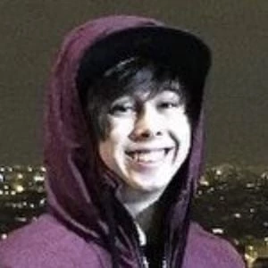 LeafyIsHere Biography