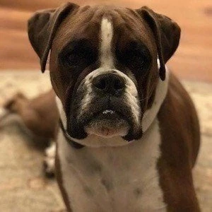 Piper LeBlanc - Family, Bio, Birthdate,Age, Networth , Wiki& More