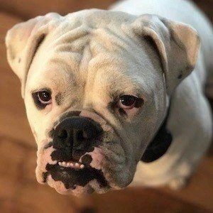 Winnie LeBlanc - Profession, Biography, Birthdate, Family, Wiki & More